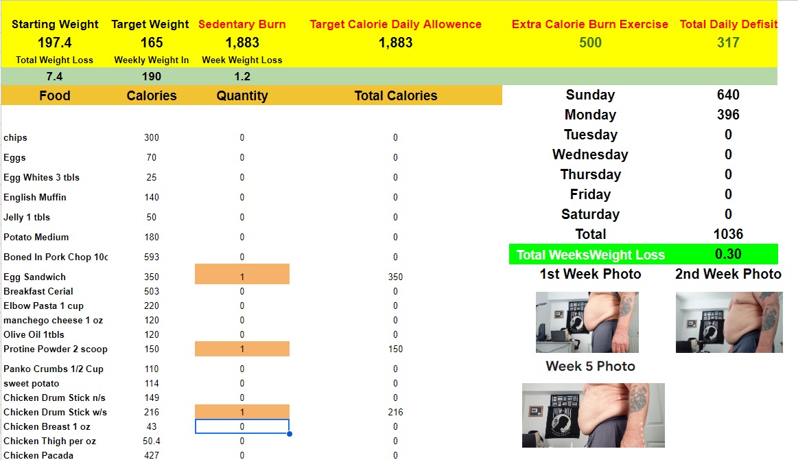 image of my original Daily Calorie And Burn Calculator